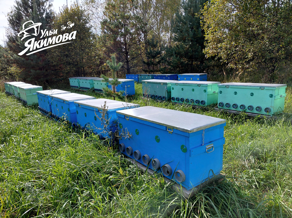 Ульи-лежаки Якимома