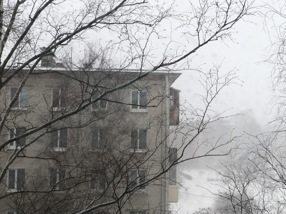 Фото: Neva.Today/Анастасия Смирнова