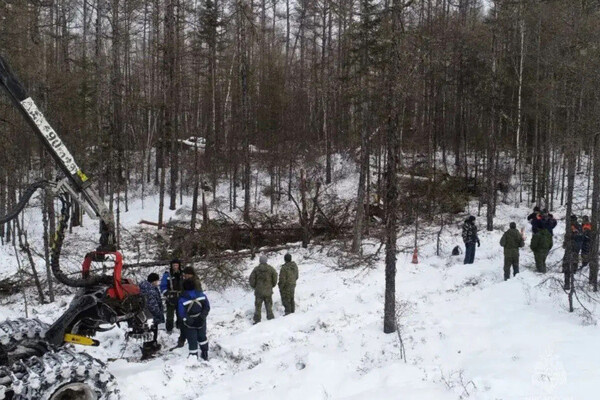Место крушения пропавшего вертолета в Ромненском округе Амурской области, 21 февраля 2026 года / РИА Новости 