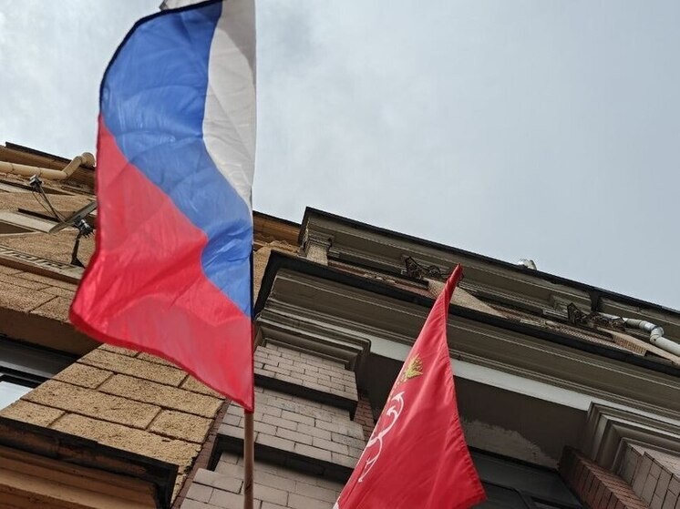     Субсидии распределяются по итогам конкурсного отбора. Фото: архив МК в Питере