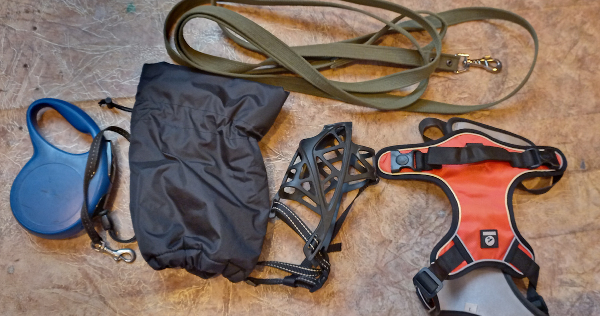 Как вам наш наборчик?