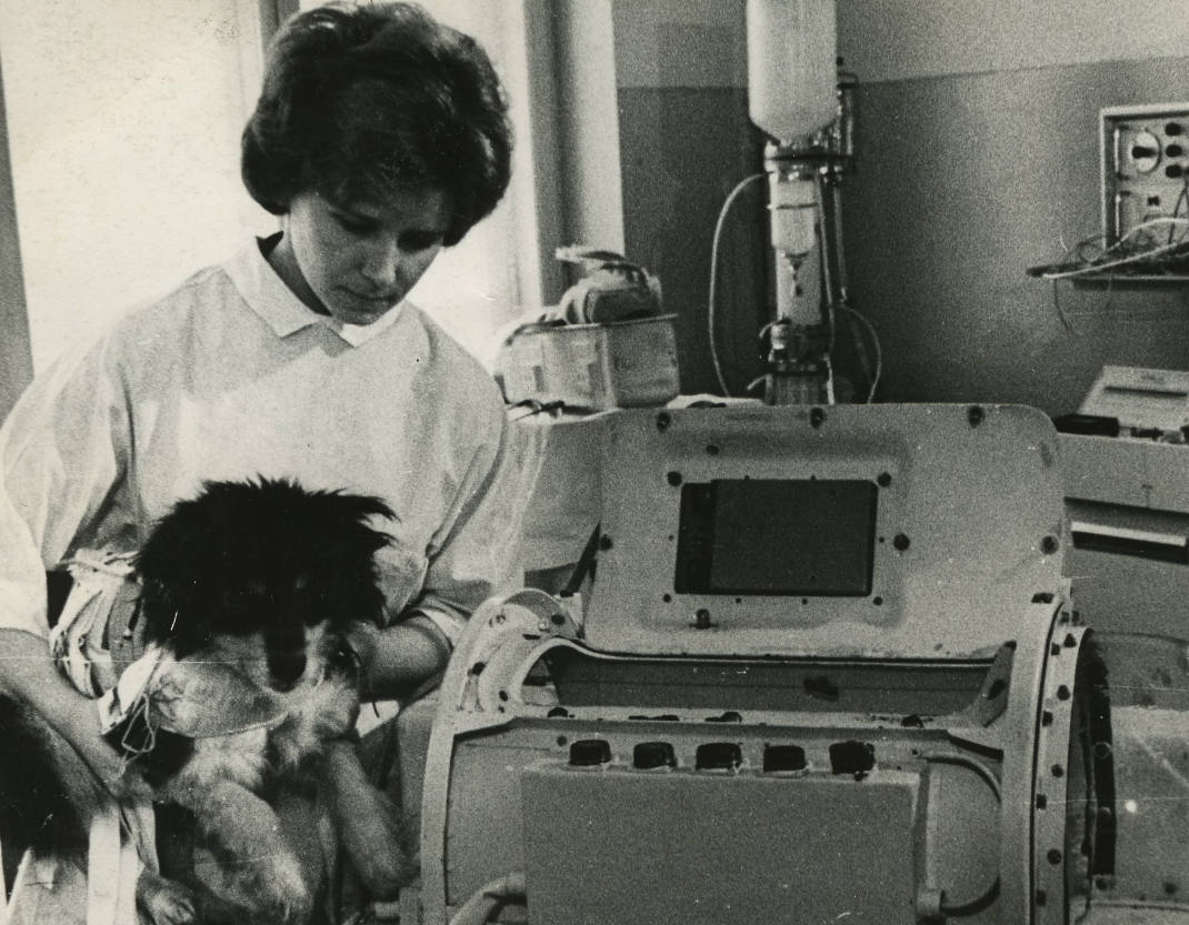 Тренировка Ветерка перед полетом. Из архива ИМБП РАН