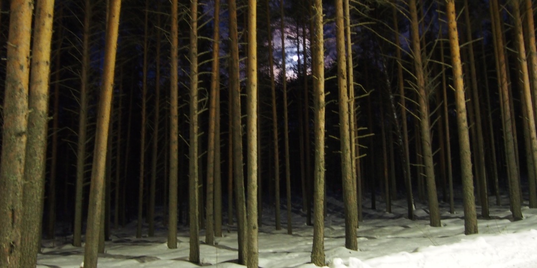 Полиция Карелии поделилась историей спасения двух рыбаков