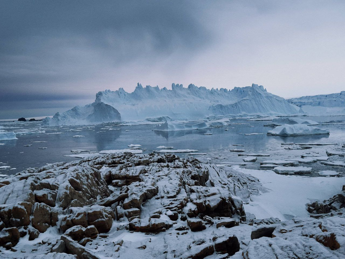 Фото: Данил Коновалов, ААНИИ 