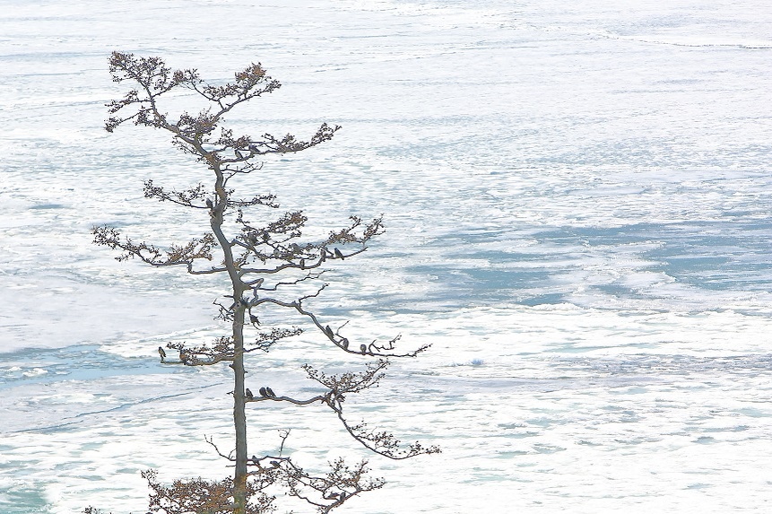 Фото Александра Шудыкина