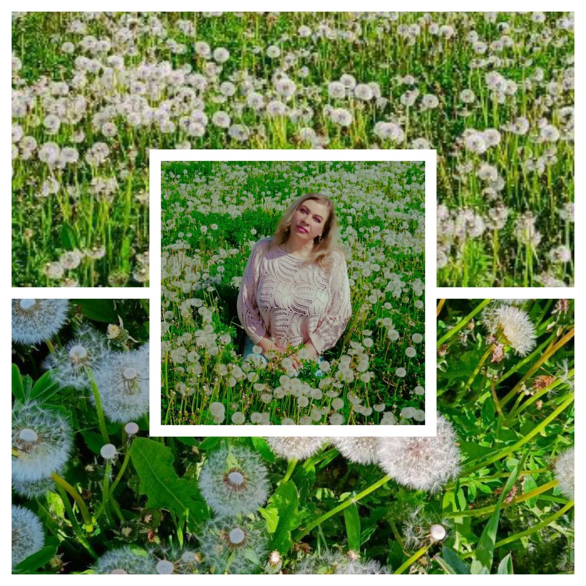 Отцветшие одуванчики тоже хороши, дунем на них и скажем: "Летите, пушинки, в дальние края, пусть сбудется мечта моя!»