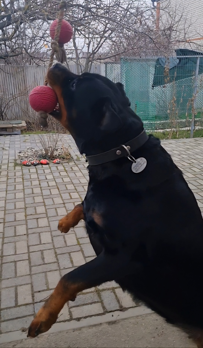 Мы на спорте! 💪