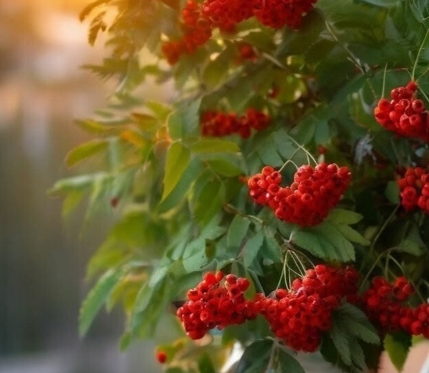 Детдомовка