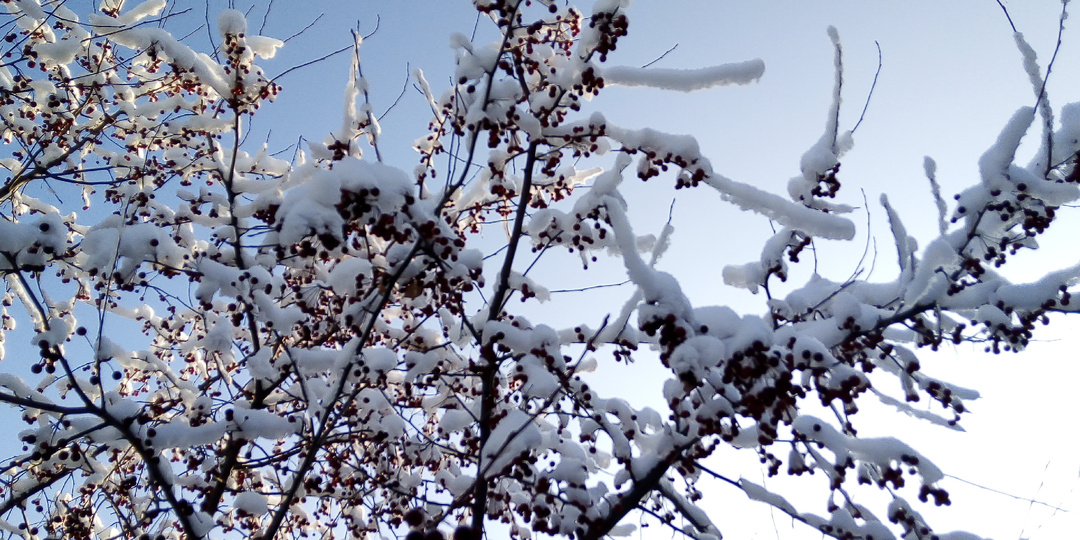 Вам скорую? У нас нет бензина. Берите такси и езжайте в больницу сами