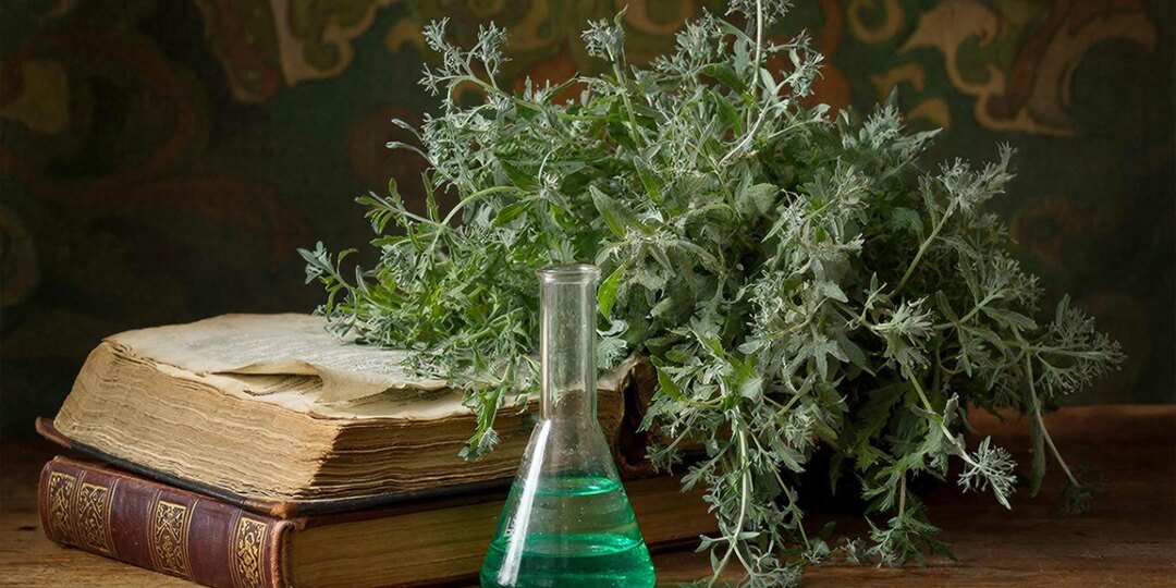 Трава, которую боялись и любили: разбираем полынь на молекулы