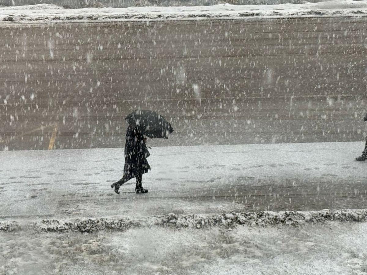 Фото: Neva.Today