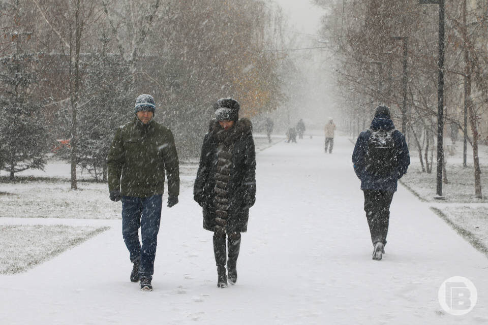    фото: Дмитрий Рогулин / "Городские вести"