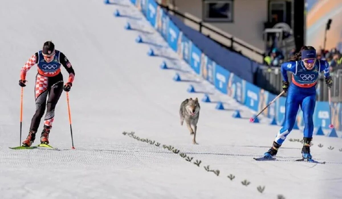 Вот он, подгоняет)