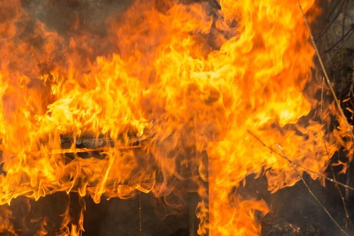 Обложка © Shutterstock / FOTODOM / Kononov Oleh