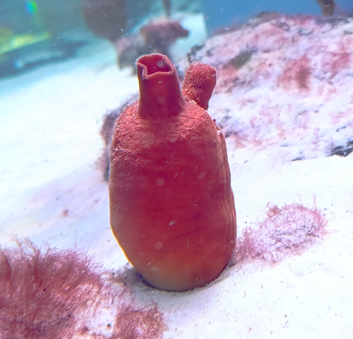 Зачем у кувшина два горлышка? 🤔