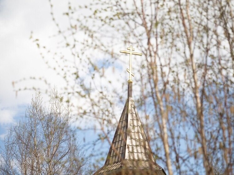   Анна Арапова