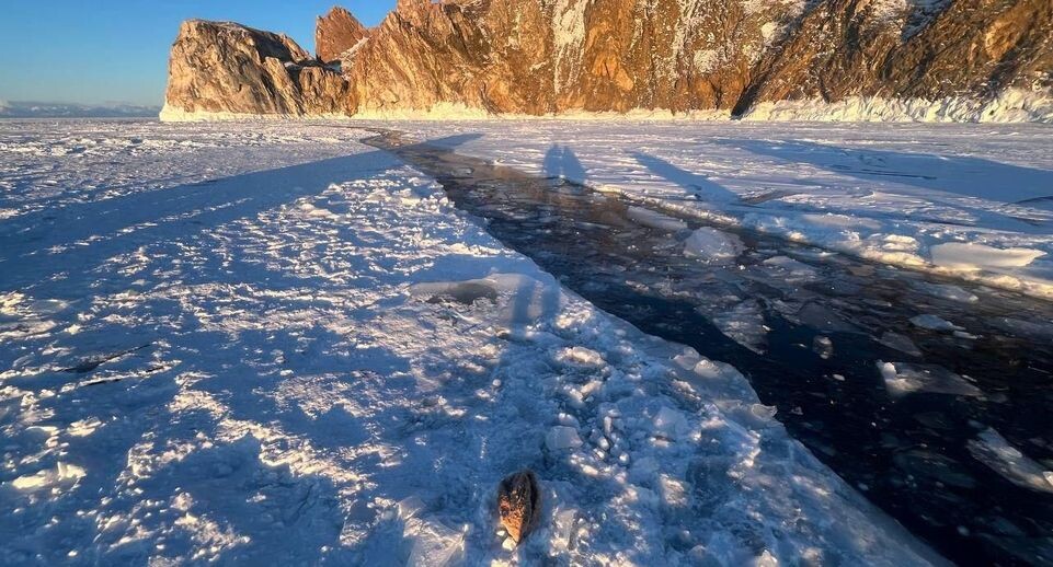    Прокуратура Иркутской области / Telegram