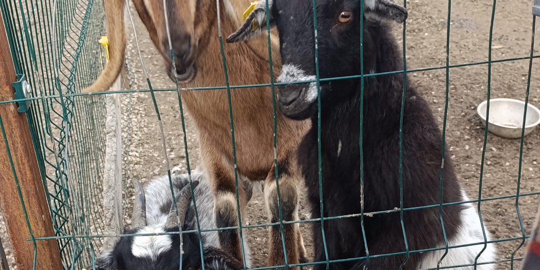 Как мы на площадку неудачно сходили! А получилось даже к лучшему