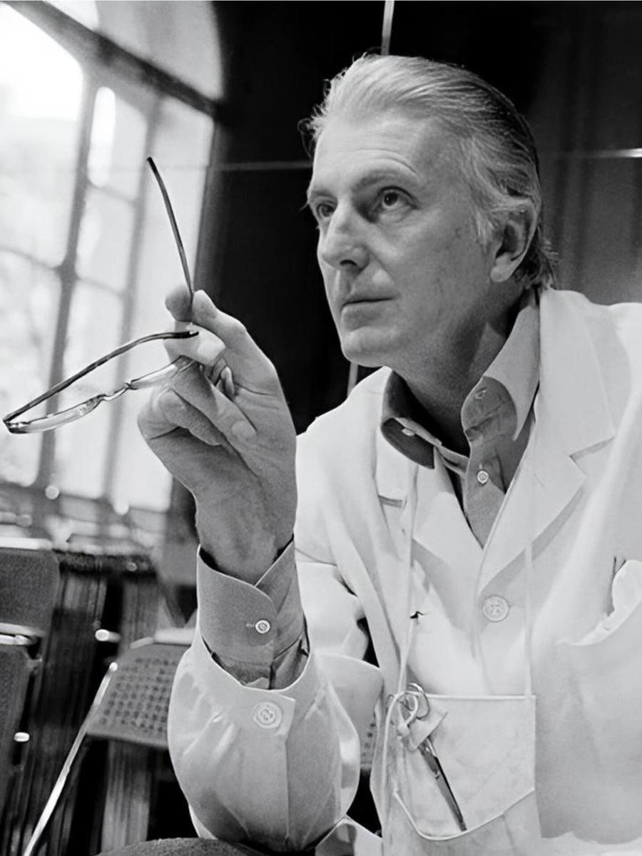 (Фото из интернета) 