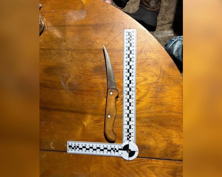     Под Курском 20 февраля произошло двойное убийство из-за бытового конфликта