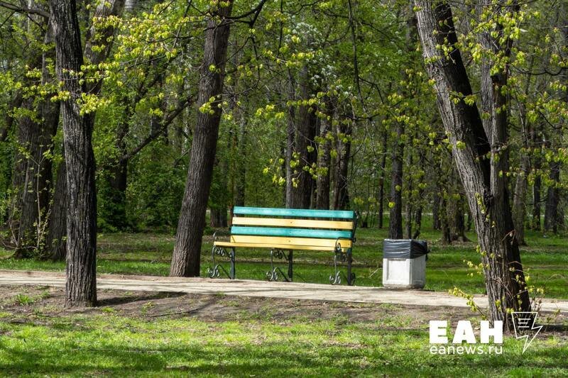    ЕАН. Скамейка в дендрарии