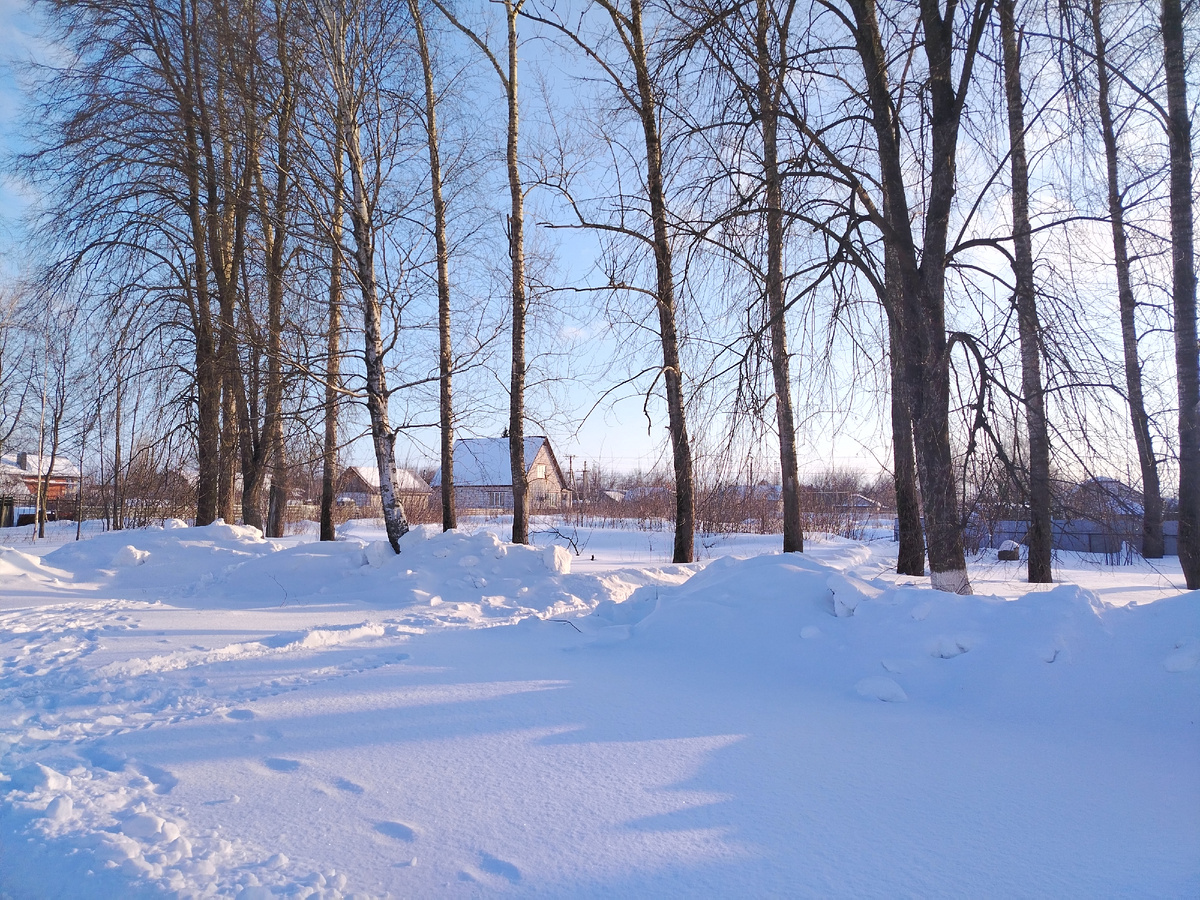 Сегодня утром наш парк. 