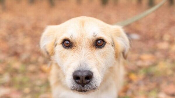    © Photo : "Зоошанс"