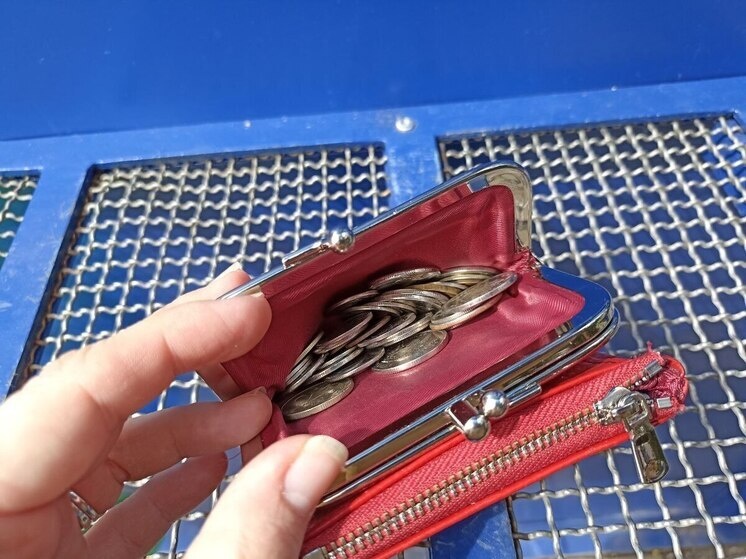     Женщина пыталась оформить единое пособие. Фото: архив МК в Питере