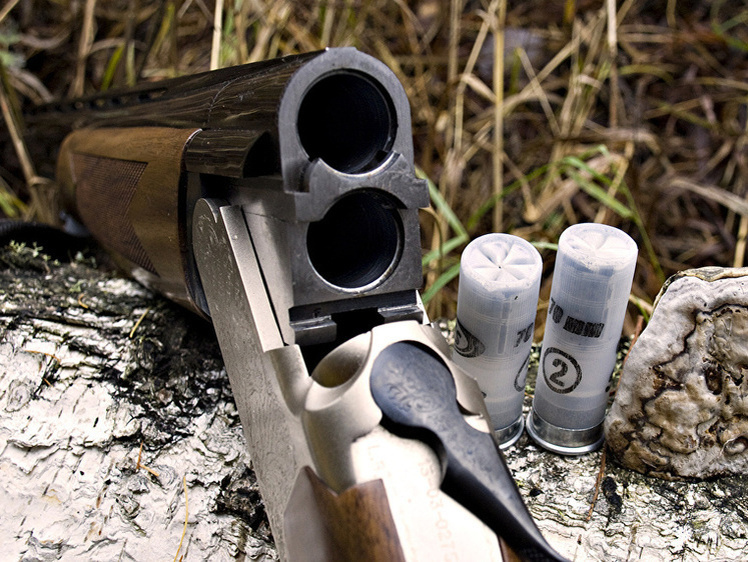     Фото: 1zoom.ru/sepik