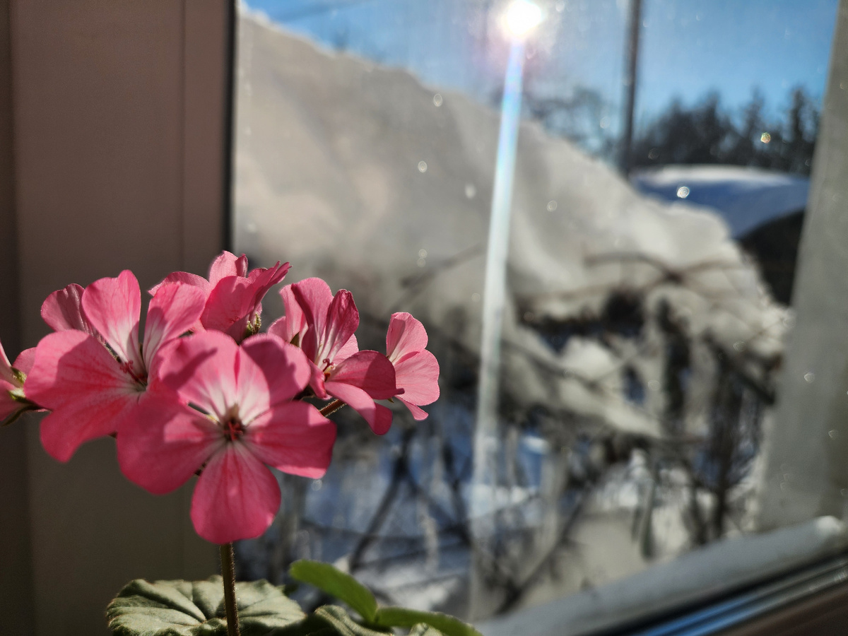 Солнышко уже припекает чуть-чуть.