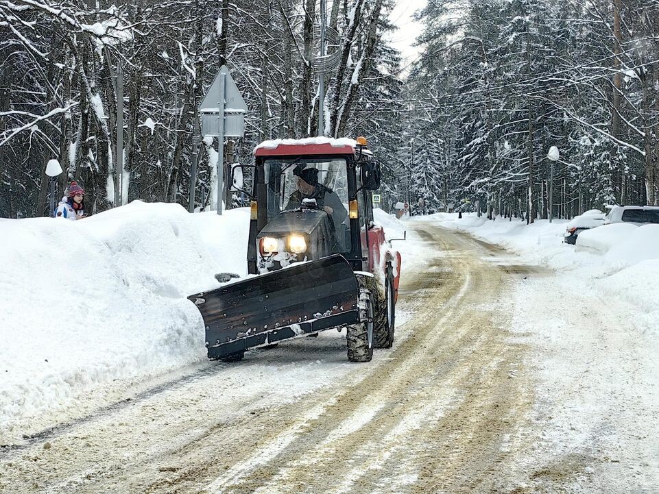     Елена Катасонова