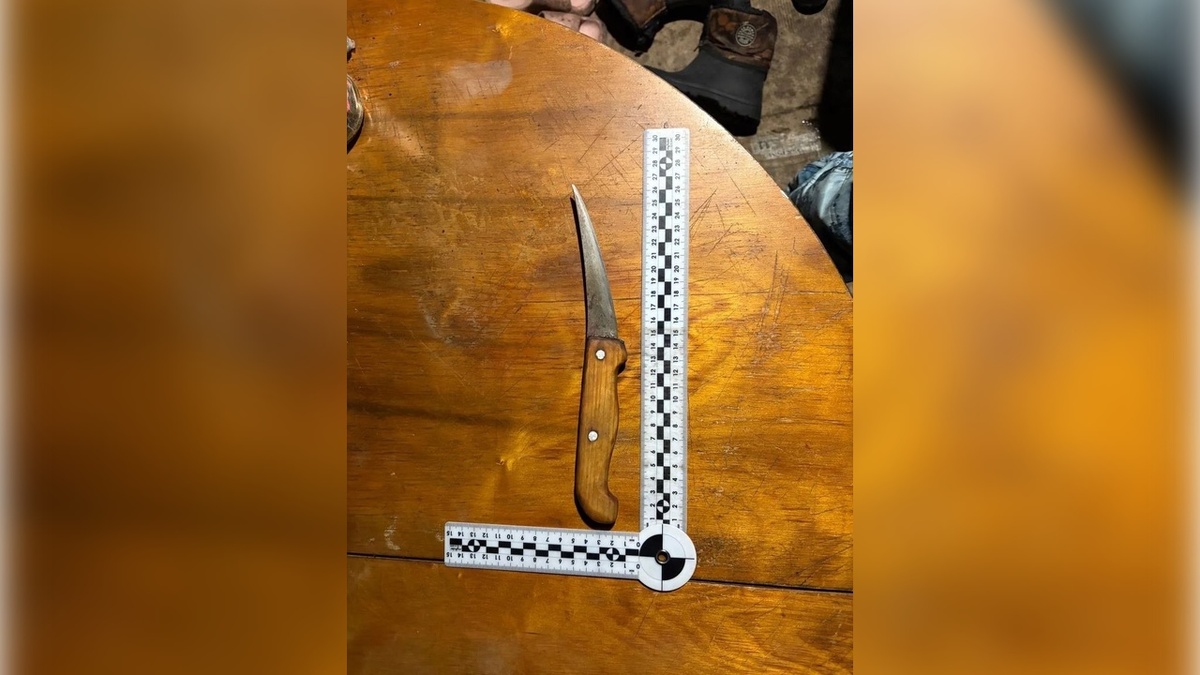    Двойное убийство произошло в Курском районе