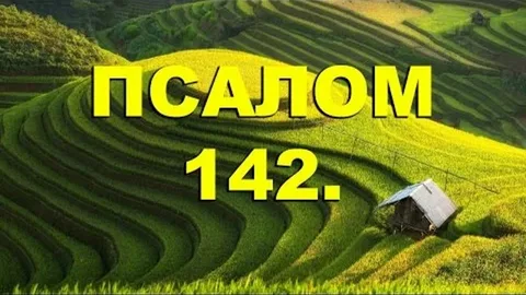 Псалом 142 - молитва, когда предают свои. Протоиерей Олег Стеняев.