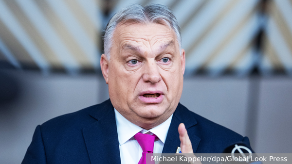     Фото: Michael Kappeler/dpa/Global Look Press   
 Текст: Вера Басилая