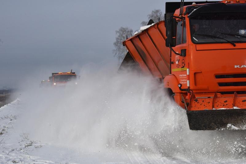 Фото: Борис Ярков, «Областная газета»