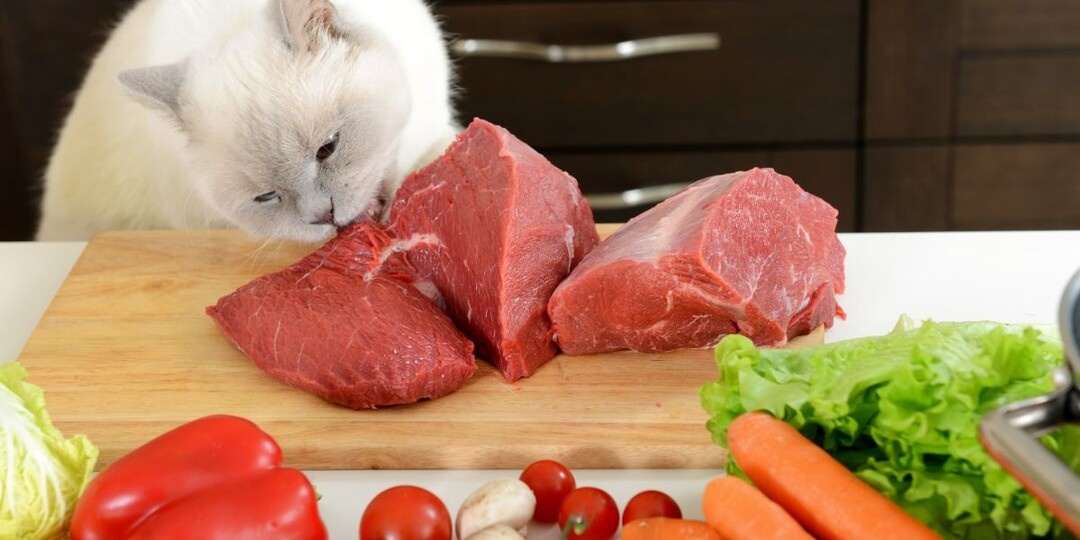 Фотография из интернета