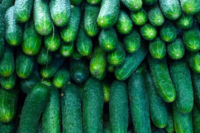   Фото из архива Калининград.Ru