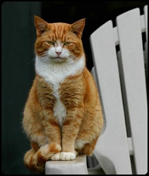 Изображение сгенерировано нейросетью.