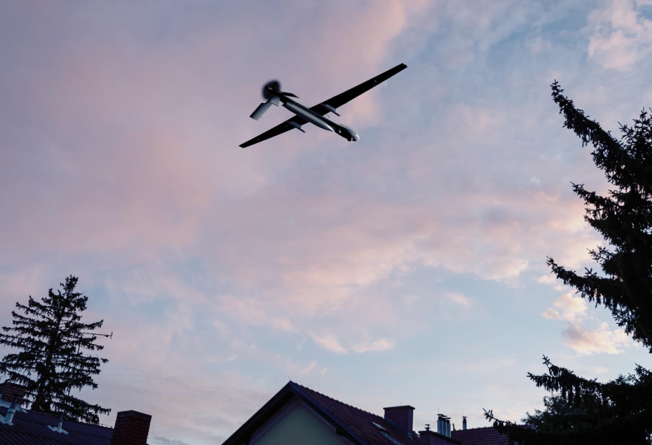    Shutterstock/FOTODOM