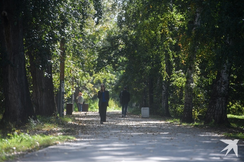    Ранее на территории дендропарка был Хлебный рынок Алексей БУЛАТОВ