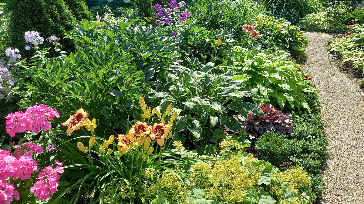 Сегодня разбирала фотки в папке с лилейниками. Вот и буду хвастаться ими)))