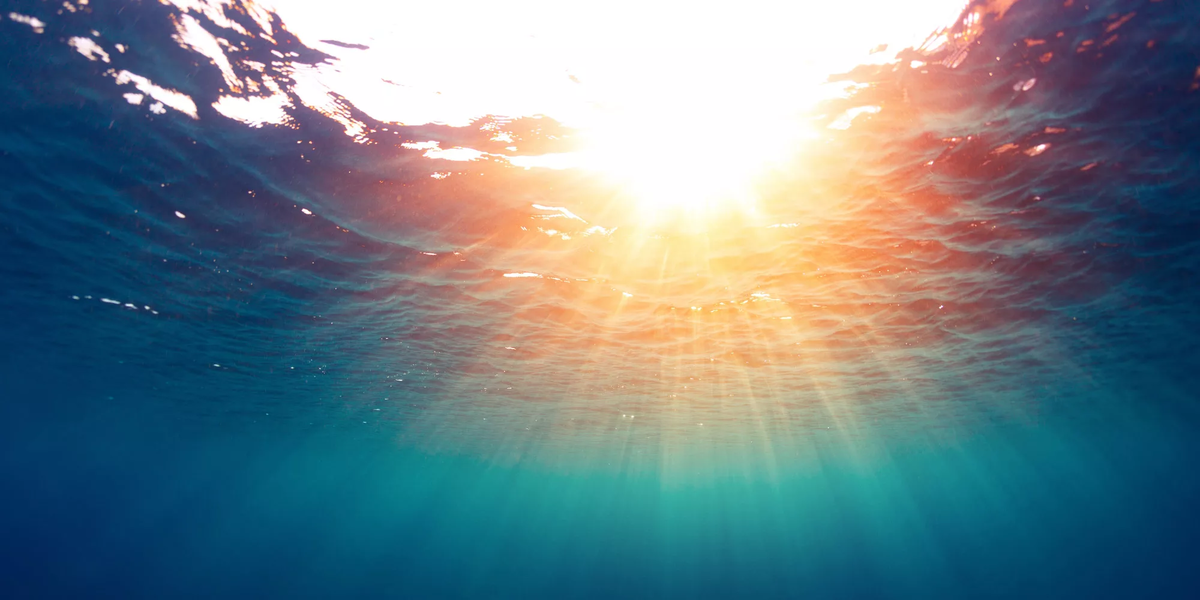 Фото: imec-int.com