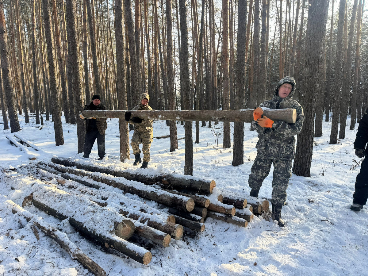 Воронежские брёвна для укрепления позиций и строительства блиндажей. Фото: соцсети Руслана Есаулова