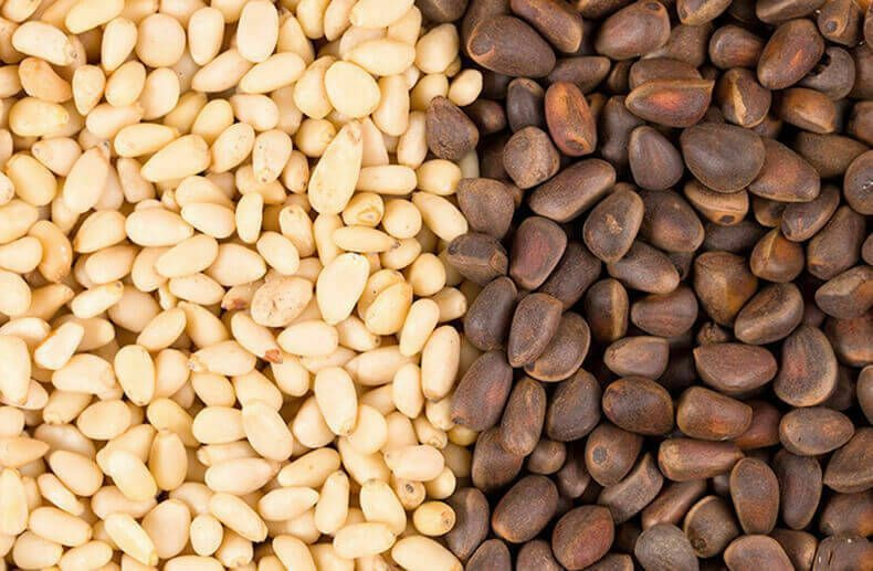 Фото из свободного источника интернета