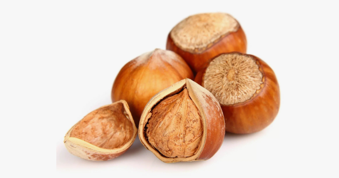 Фундук. Фото из открытого источника интернета.