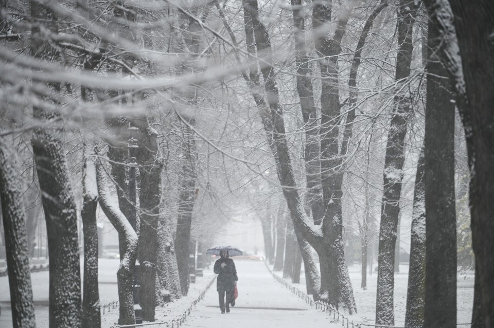   Петербург ожидает метель 22 февраля. Алексей БУЛАТОВ