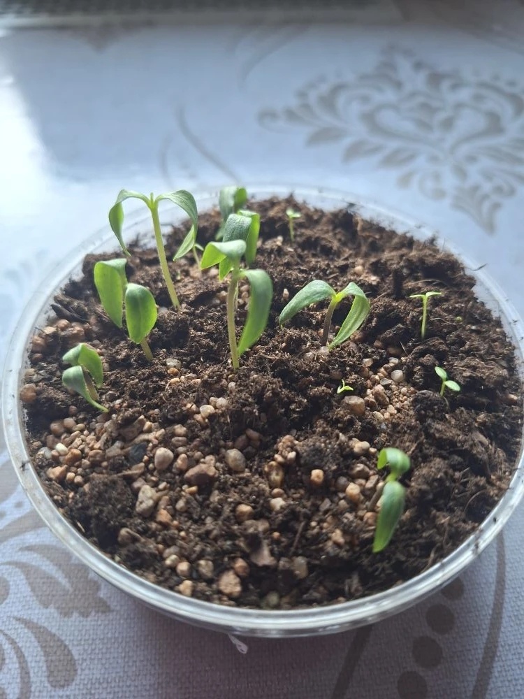 Фото подписчицы