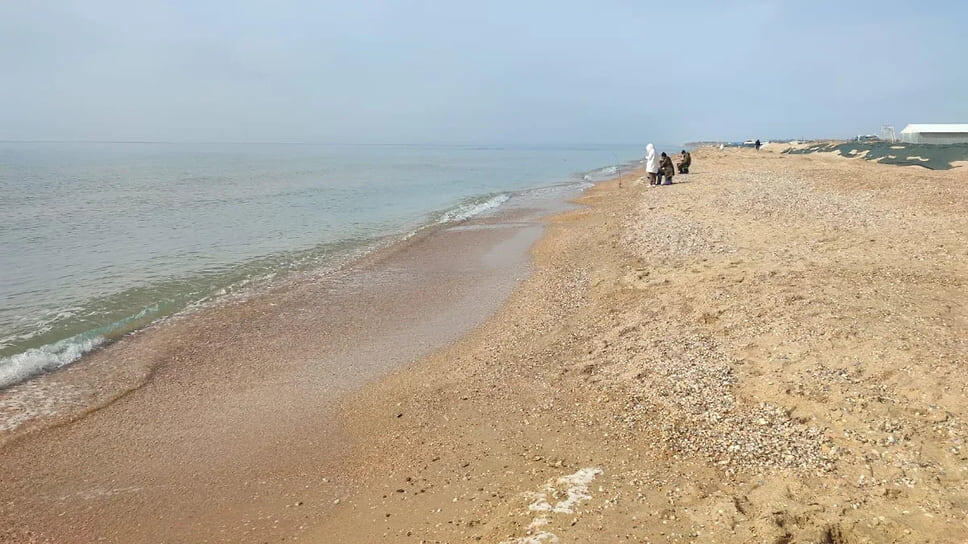 Фото: www.atorus.ru