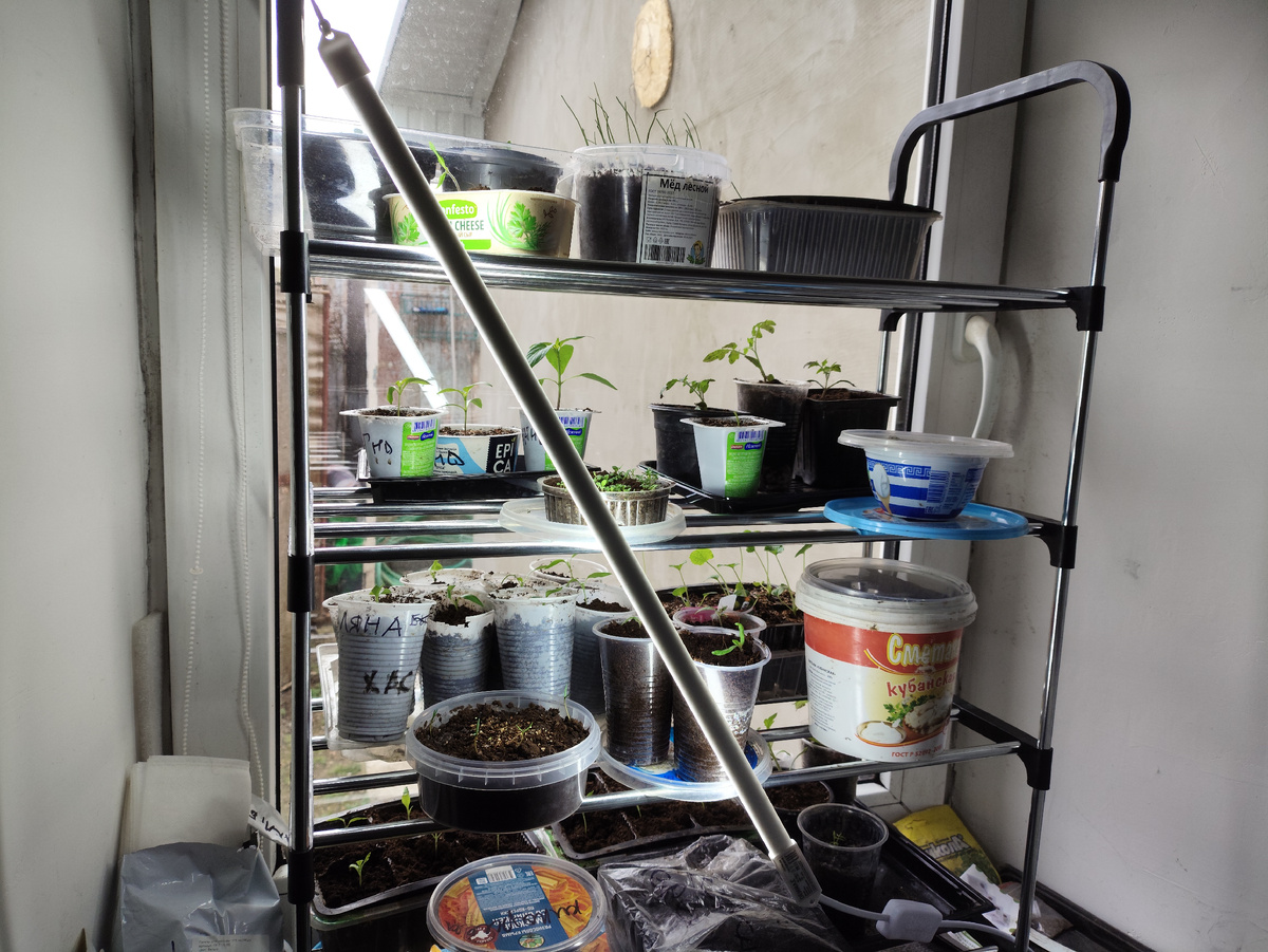 Лампа одна, поэтому по диагонали )))