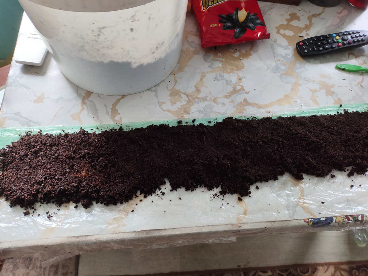 Сразу решила в землю, без предварительной бумажки